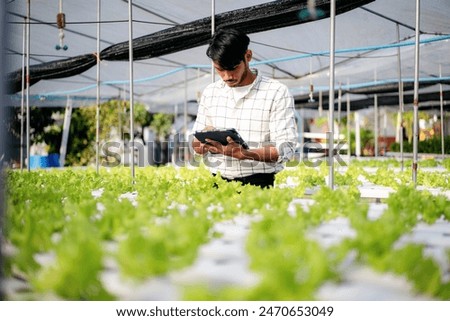 A man is looking at a tablet while standing in a greenhouse. The greenhouse is filled with plants, and the man is checking on them. Concept of responsibility and care for the plants