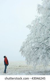 Man looking to tree's top