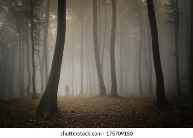 Man Lost Dreamy Forest Black Trees Stock Photo 175709150 | Shutterstock