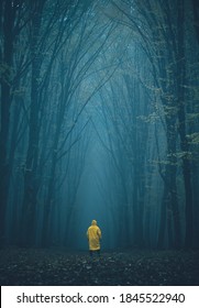 Man Lost In A Spooky Forest. Forest In Fog With Mist. Fairy Spooky Looking Woods In A Misty Day With A Man Lost In It. Cold Foggy Morning In Horror Forest