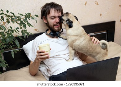 Man Lying On Bed Looking At Laptop, His Pug Dog Interfere, Licking His Face