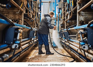 Man, machine or farmer cleaning in factory hosing off a dirty or messy floor after dairy milk production. Cleaner, farming industry or worker working with water hose for healthy warehouse machinery - Shutterstock ID 2304866293