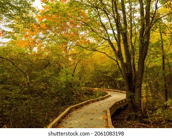 Man Made Trail Through Parker River National Wildlife Refuge