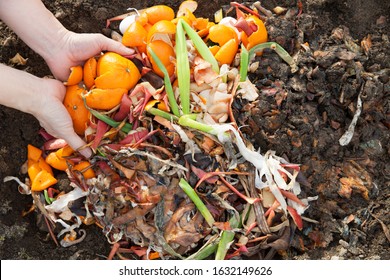 Man Making Compost At Garden