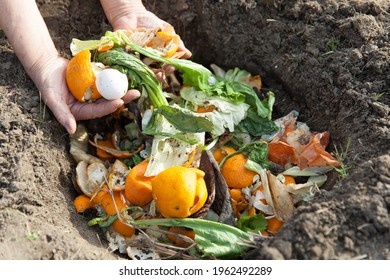 Man Making Compost In The Garden