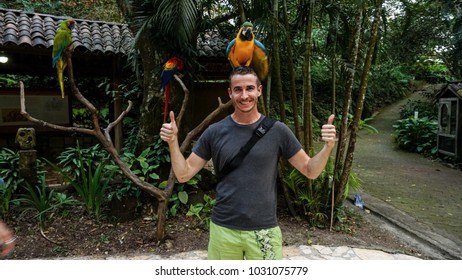 637 Colored macaw parrots bird with man Images, Stock Photos & Vectors ...