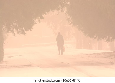 man in the mist