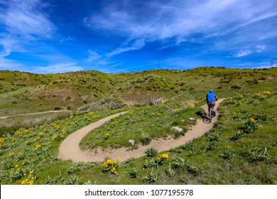 Man Mountain Biking In The Boise Foothills