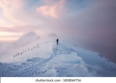 Man mountaineer walking with footprint on snowy mountain and colorful sky in blizzard at sunrise. Senja island, Norway