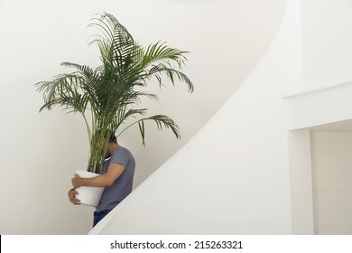 Man Moving House, Carrying Large Pot Plant Down Staircase, Face Obscured, Profile