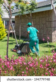 A Man Is Mowing Lawn In Garden