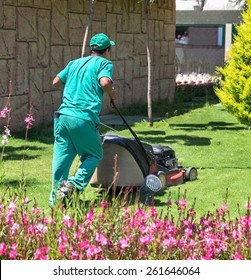 A Man Is Mowing Lawn In Garden