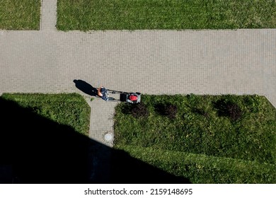 Man Mowing Lawn. Top View. Landscaping Of The Courtyard Territory. Gardener Cuts The Lawn In The Garden.