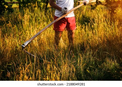 A Man Mows The Grass With A Mechanical Scythe. Harvest