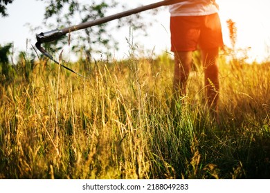 A Man Mows The Grass With A Mechanical Scythe. Harvest