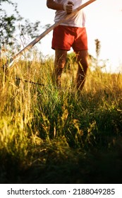 A Man Mows The Grass With A Mechanical Scythe. Harvest