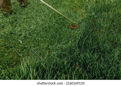 A Man Mows The Grass On The Lawn With A Lawn Mower. Home Improvement. Close Up. High Quality Photo