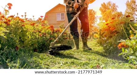 a man mows the grass with a trimmer Foto d'archivio © 