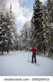 Man Nordic Skiing In Arrowhead Park Ontario
