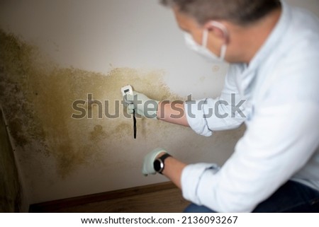 Man with nose mouth protection measures the moisture level on a wall with mold in an apartment