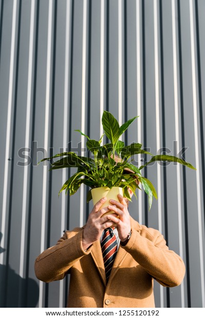 man with obscure face holding green plant in pot\
near wall