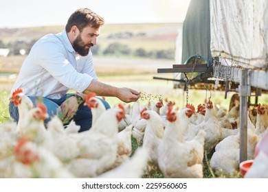 Man on farm, feed chicken and agriculture with poultry livestock and sustainability with organic agro business. Farmer in countryside, animal health with environment and farming process outdoor - Powered by Shutterstock