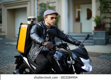 Man On Motorbike With The Dog Inside Special Thermo Bag For Delivery Food On The Street.Food Delivery Service.