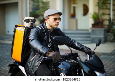 Man On Motorbike With The Dog Inside Special Thermo Bag For Delivery Food On The Street.Food Delivery Service.