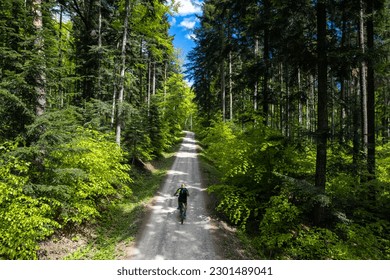 Man on mtb bike ride trough lush forest at spring