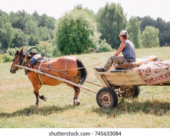 A man on old wooden cart pulled by one brown horse in a field. Village life in Belarus