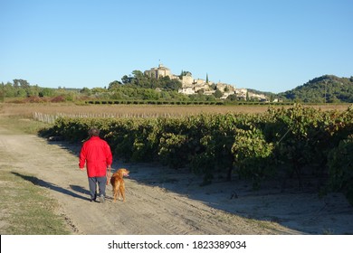 Man on red coat walking whit a dog on the vineyards