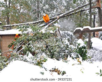 Man On Roof Cutting Fallen Tree With Chainsaw