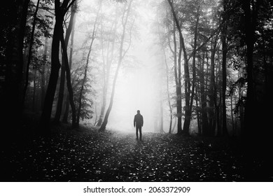 man on scary forest road, dark fantasy landscape