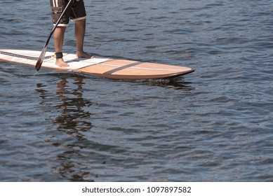 Man On A Stand Up Paddle Board On The Hillsborough River In Tampa Florida