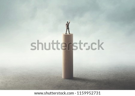 man on the top exulting, success concept