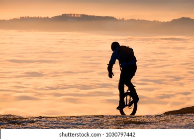 一輪車 の画像 写真素材 ベクター画像 Shutterstock