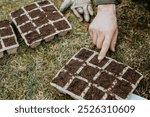 Man (only his hands on the photo, no face) is sowing seeds in many carton containers at the backyard.