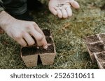 Man (only his hands on the photo, no face) is sowing seeds in many carton containers at the backyard.