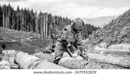 Man in operating chainsaw. Lumberjack working in a forest. Man working chainsaw in forest. Woodcutter lumberjack is man chainsaw tree. Woodcutter saws tree chainsaw on sawmill. Black and white.