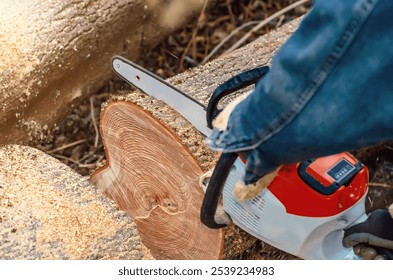 Man Operating Chainsaw to Process Fallen Tree - Powered by Shutterstock