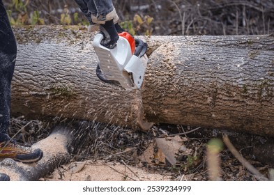 Man Operating Chainsaw to Process Fallen Tree - Powered by Shutterstock