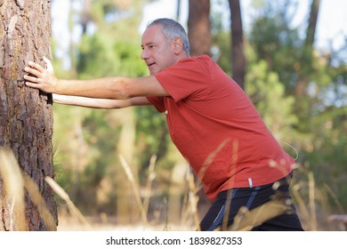 man out exercising stretching against a tree
