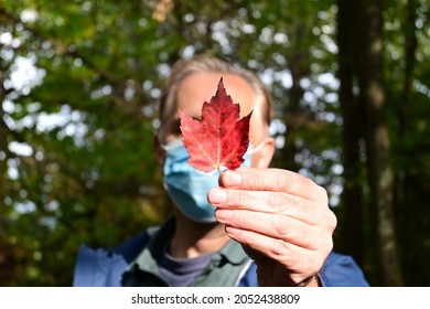 Man Outstretched Hand Holding Maple Leaf