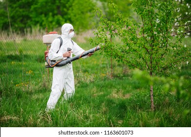 Man in the overalls treats apple tree chemicals from harmful insects. Gardening and people concept.