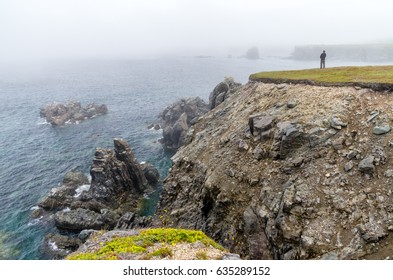 Man overlooking Ocean Cliffs on Foggy Day