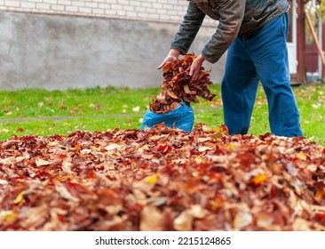 a man packing autumn leaves into a plastic bag, outdoor shot - Shutterstock ID 2215124865