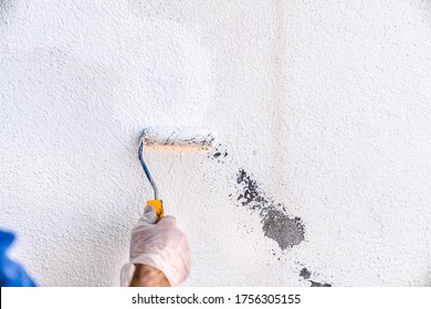 Man Painting An Old Stained Wall In White. Concept Of Painting And Reforming The House.