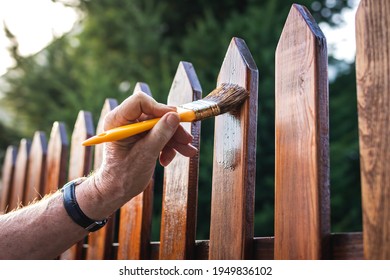 Man painting wood stain at timber plank in garden. Paint protective varnish on wooden picket fence at backyard