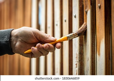 Man painting wooden fence by wood stain. Renovation of picket fence. Paintbrush in male hand