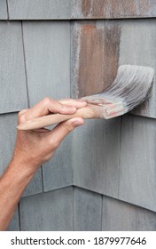 Man Painting Wooden House Exterior Wall With Paintbrush. DIY. COVID Project.